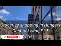 Groceries shopping in Hungary | Cost of living Pt 1