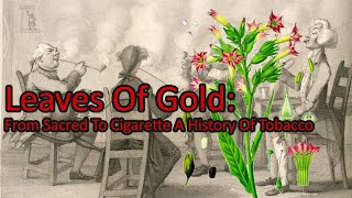 Download Lagu Leaves Of Gold: From Sacred To Cigarette A History Of Tobacco MP3