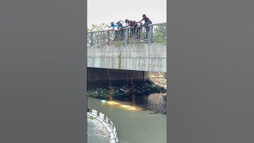 Lắp đặt đoạn Phao chắn rác dài nhất #saigonxanh #environment #cleaning #shorts #windnet