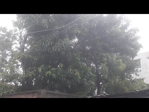 রহমতের বৃষ্টি।।।।।
