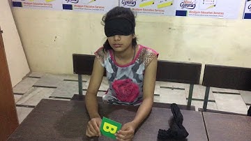 Midbrain Activation | Blind Fold Color Identification