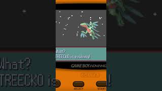 Pokémon Ruby: Treecko Evolves… #pokemon