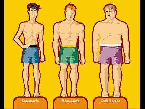 tipos de cuerpos humanos