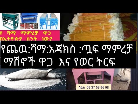 ቪዲዮ: የማሸጊያ ብርሃን ለግሪክ፡ ወንዶች ለግሪክ ጉብኝት የሚለብሱት።