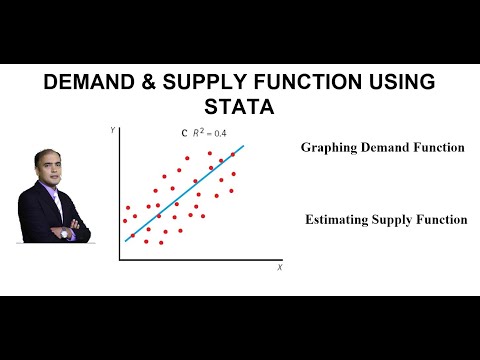 Estimating Demand and