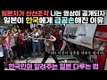 일본차가 부서지는 영상이 공개되자 일본이 한국에게 급공손해진 이유