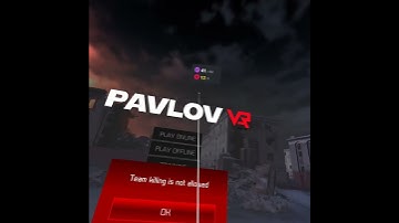 pavlov vr i was team killing