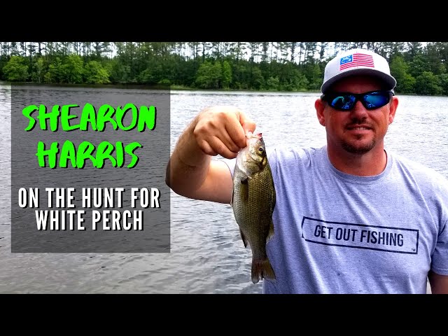 Shearon Harris - On the Hunt for White Perch (Fishing VLOG: Episode 16 -  2020) 