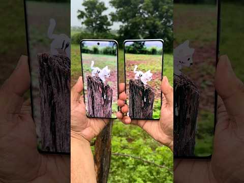 Realme 13 Pro
