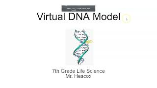 Mr Hescox's Virtual DNA Help! screenshot 2
