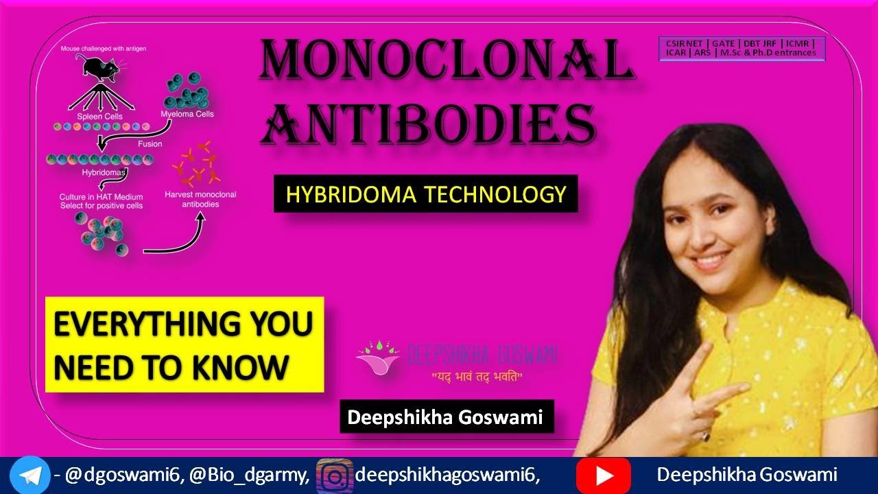 MONOCLONAL ANTIBODIES | HYBRIDOMA TECHNOLOGY | METHODS IN BIOLOGY | CSIR NET | DEEPSHIKHA GOSWAMI