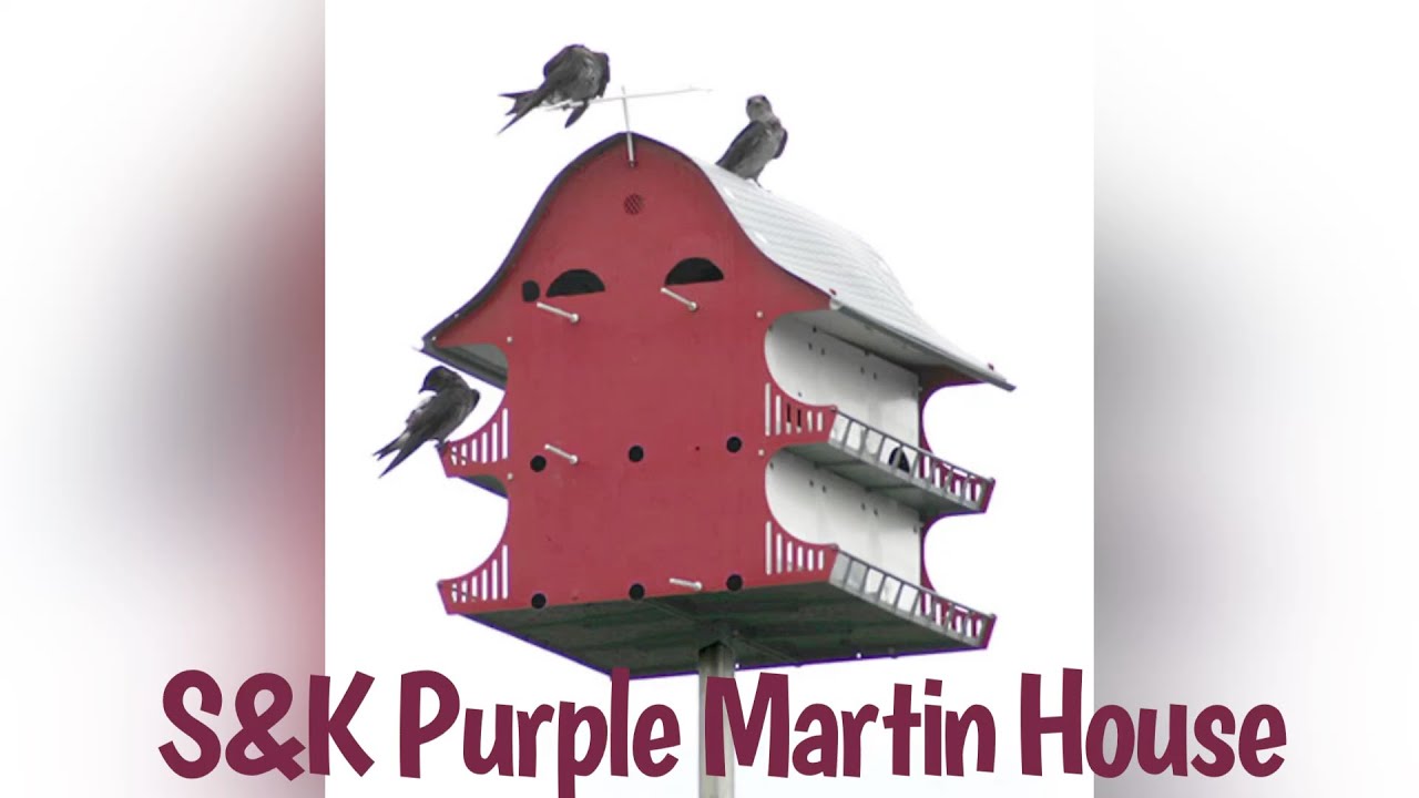 S&K Purple Martin House no vacancy