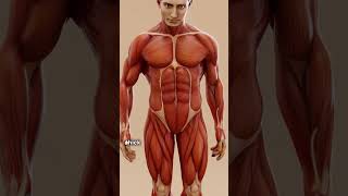 Powerful Stomach Acid Protection #facts #didyouknow #shorts