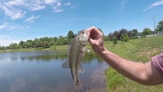 I Found A Magical Fishing Bait That Catches Tons Of Fish