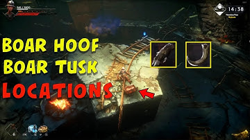 Where to get Boar Tusk and Boar Hoof- No Rest for the Wicked (Infinite Farm)