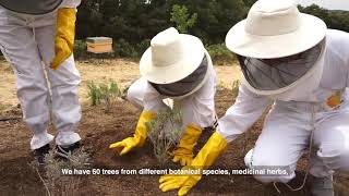 Ecocolmena - Pollination Island - Project funded by General Mills