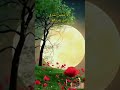 حالات واتس آب كل شيئ ينتظر وقته
