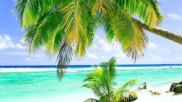 Relaxing Tropical Beach and Palm Trees | Ocean Sounds for Meditation, Study, and Sleep  | 10 Hours