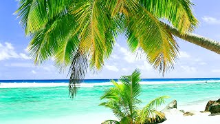 Relaxing Tropical Beach and Palm Trees | Ocean Sounds for Meditation, Study, and Sleep  | 10 Hours screenshot 5