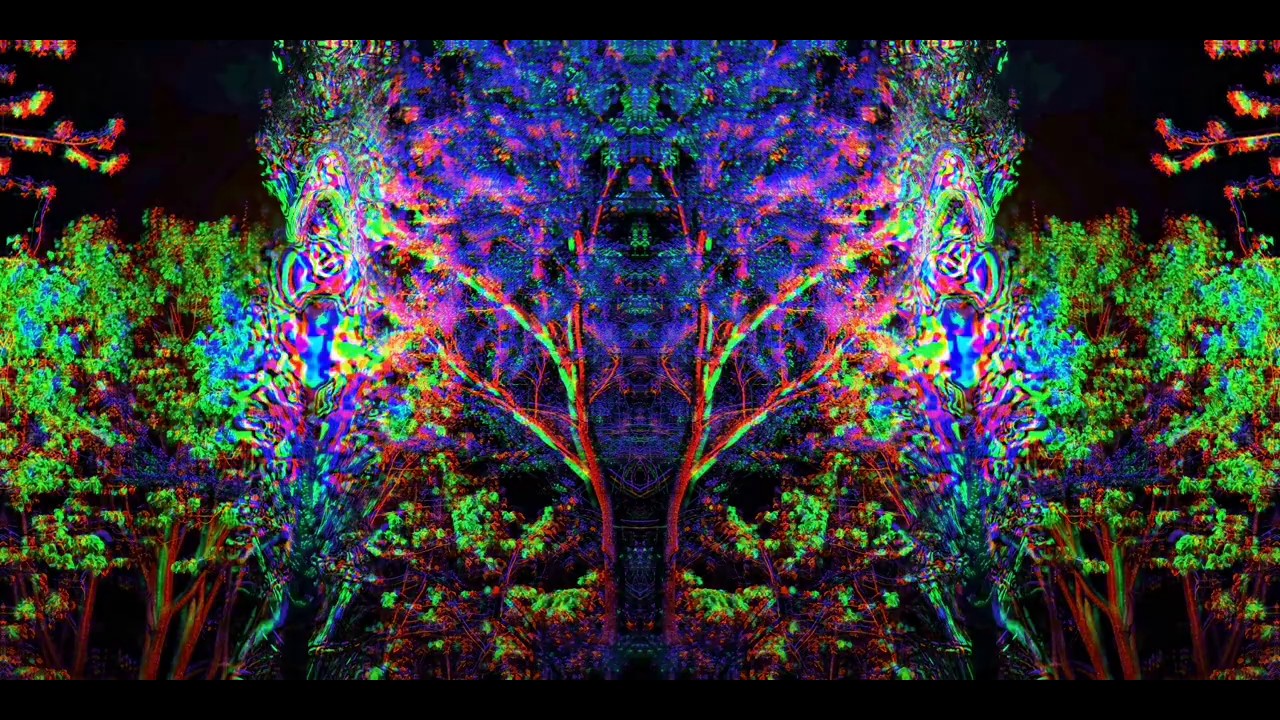 Trippy Trees Looped
