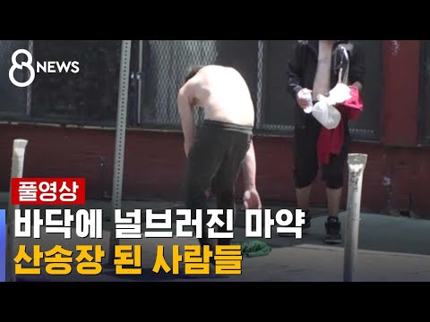   굳고 축 처지고 흐느적 때 놓치자 마약으로 좀비 됐다 풀영상 SBS 8뉴스