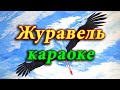Журавель караоке Журавель караоке