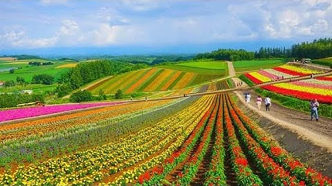 KHÁM PHÁ TRẢI NGHIỆM PHA ĐIN LỘNG GIÓ NGỠ ĐÀ LẠT