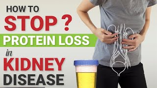 How to stop protein loss in kidney disease?