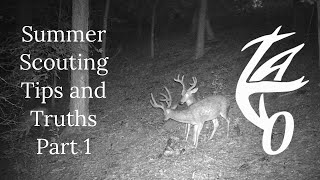 Summer Scouting Tips and Truths- Part 1