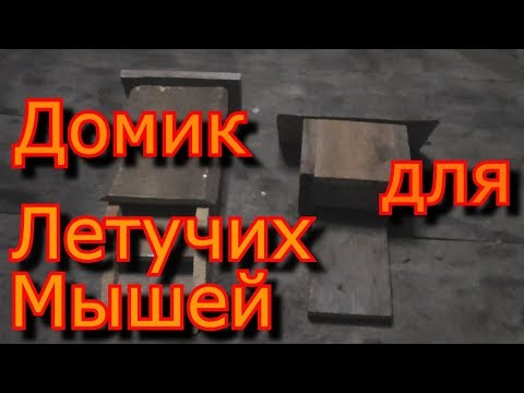 Домик для летучих мышей