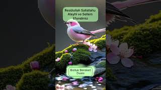 Bolluk Bereket Duası