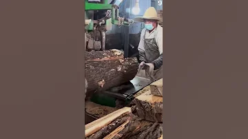 Skill Cerdas Tukan Kayu Memotong Batang Kagu Super Jumbo Shorts 