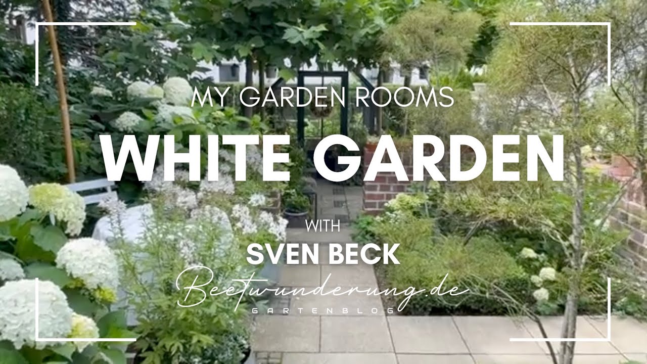 Garten / Garden: My garden rooms 'White Garden' / Meine Gartenräume 'Weißer Garten'