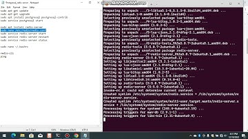 Unit 02: Hướng dẫn cài đặt postgresql & redis-server trên Ubuntu