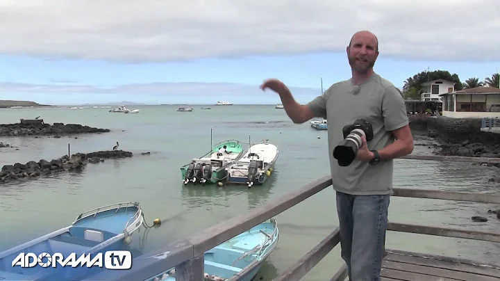 Galapagos Bird Photography: Exploring Photography with Mark Wallace: AdoramaTV - DayDayNews