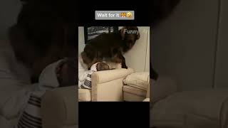 Download Lagu #funnyanimalsFunk Rave - Don´t Let Me Down 140 Bpm - kirtap MP3 Download Lagu #funnyanimalsFunk Rave - Don´t Let Me Down 140 Bpm - kirtap MP3