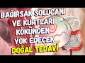 KIL KURDU OLANLAR DİKKAT ! GÜNDE 1 BARDAK İÇİN BU SORUNDAN KURTULUN.