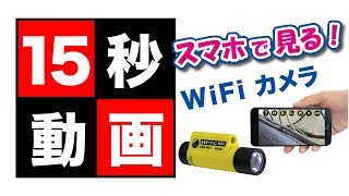 みるサーチミニ WiFi 15秒動画