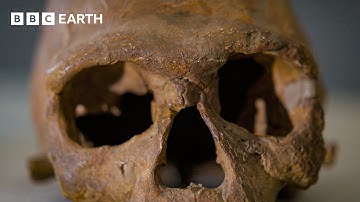 Did These Fossils Just Rewrite Human History? | Human | BBC Earth Science
