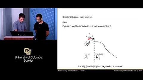 Stochastic Gradient Optimization for Logistic Regression