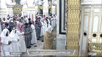 سورة سبأ 10 - 21 | فجر الثلاثاء 3 محرم 1446هـ | د. عبدالمحسن القاسم