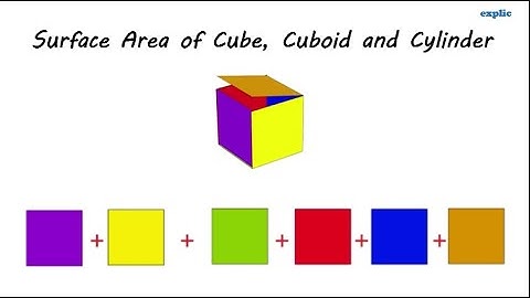 Surface Area of Cube, Cuboid and Cylinder (Class 8 CBSE)
