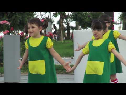 სტუდია ჰარმონია - harmonia