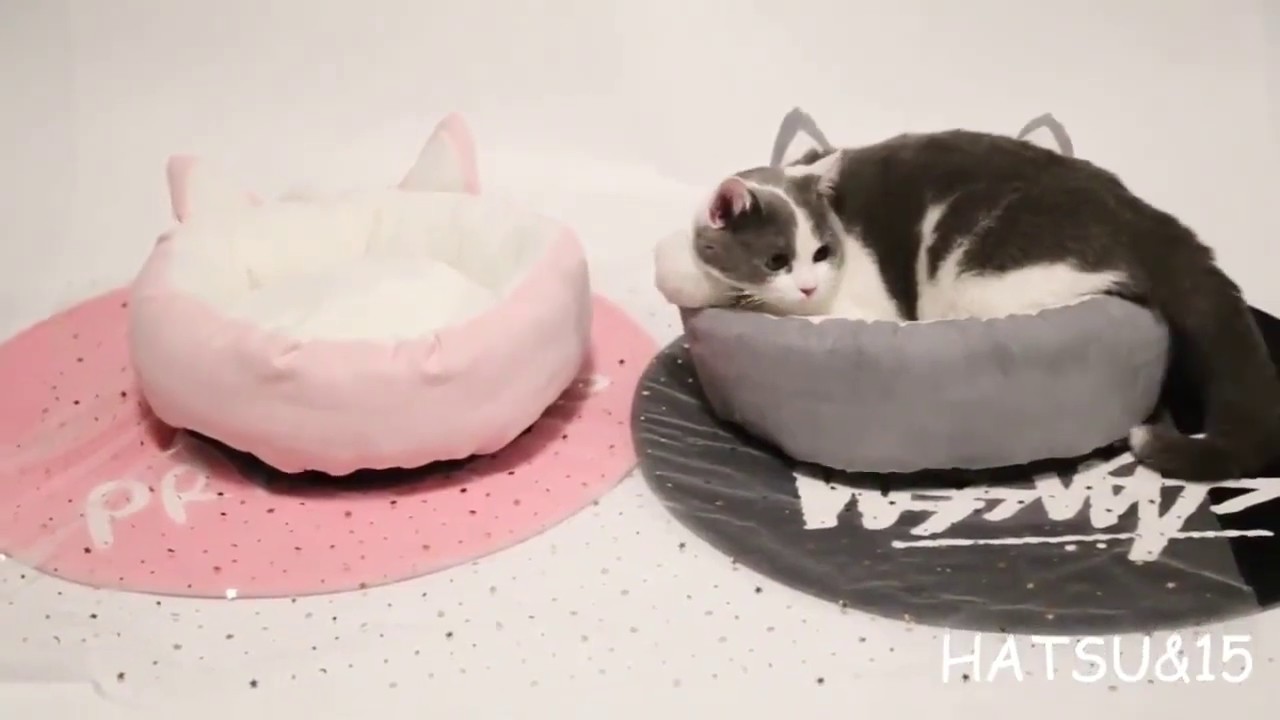 Pet Cat Washable Cat Ears Soft Sofa Bed