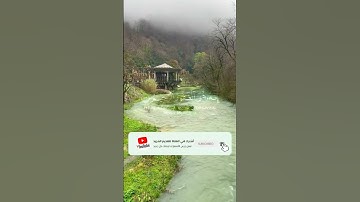 #سورة الزمر ماهر المعيقلي #القران_الكريم_راحه_نفسية #القران_الكريم #سورة #القارئ