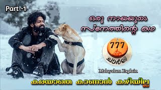 777 Charlie Malayalam Movie Explain | Part 1 | Cinima Lokam...