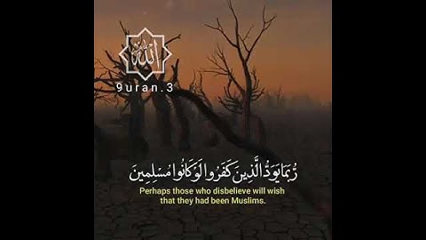 تلاوة عذبة بصوت القارئ إسلام صبحي /حالات واتس اب