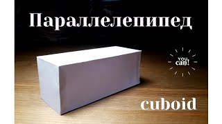 Как сделать параллелепипед из бумаги? Развертка кубоида.