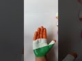 Indian flag painting on baby hand flag painting shorts arsh arty world art