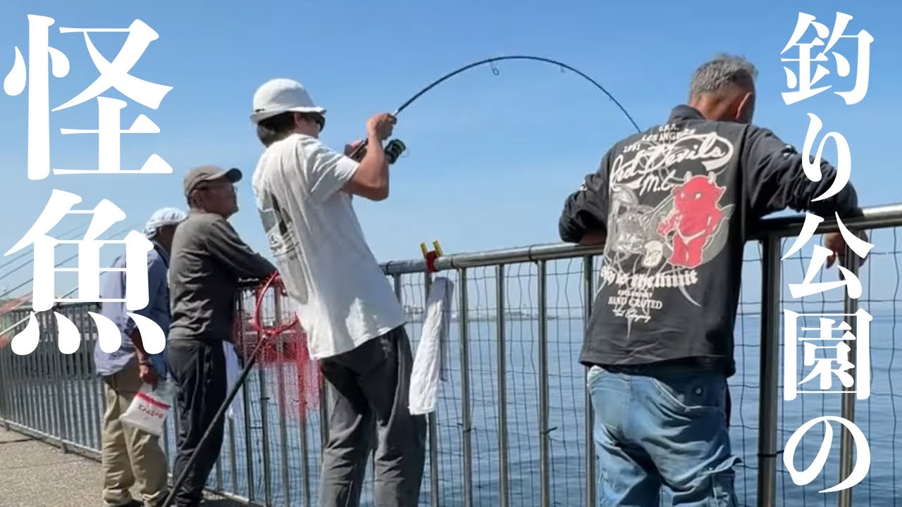 うみかぜ公園　コブダイ釣り！『タンコブゲーム』初心者必見!  最も分かりやすいコブダイの 釣り方講座　【海風公園】